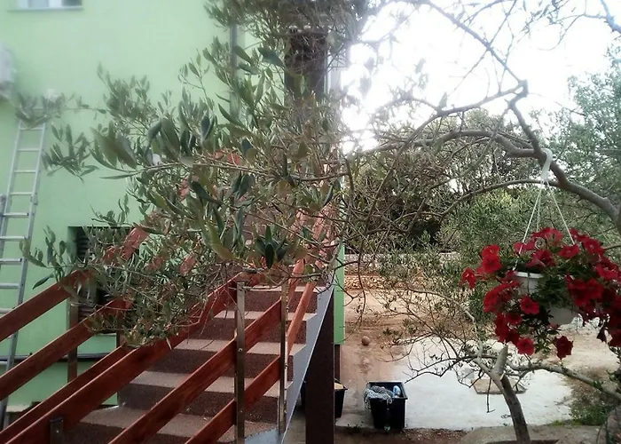 Apartmán 17603a Silba